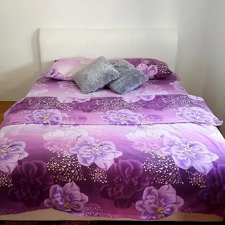 Andric Apartment *